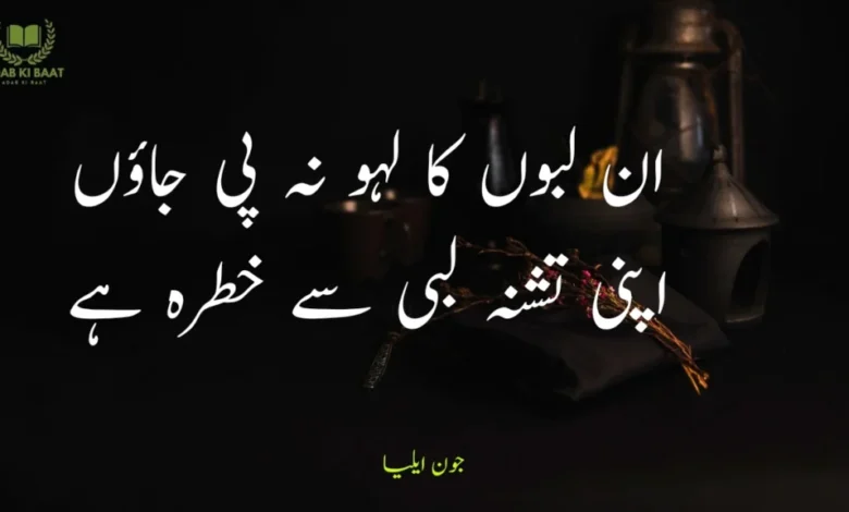 Heart Touching John Elia Poetry