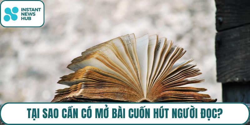 Tại sao cần có mở bài cuốn hút người đọc?
