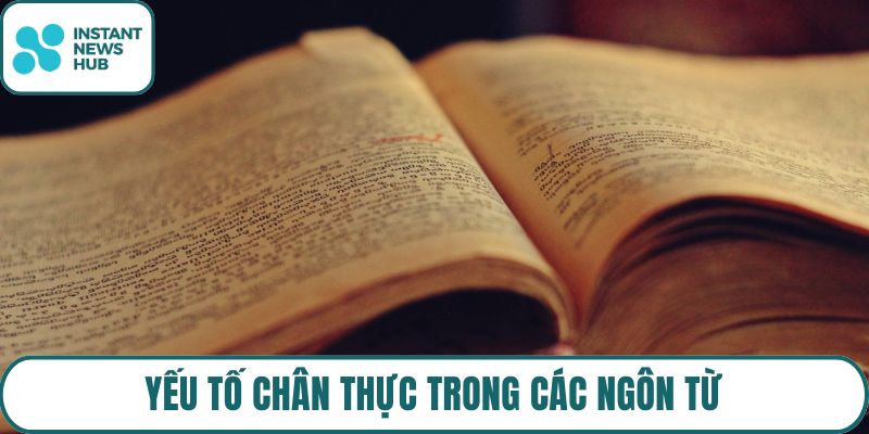 Yếu tố chân thực trong các ngôn từ